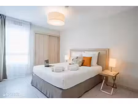 appartement 1 chambre meublé