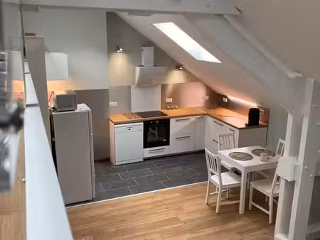 moret-sur-loing – magnifique 2 pièces meublé rénové – 53 m² au sol – tout confort