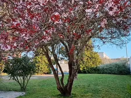 location maison aytre