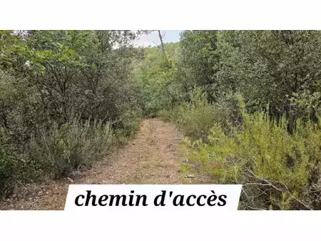 terrain en zone naturelle – un écrin de verdure à préserver