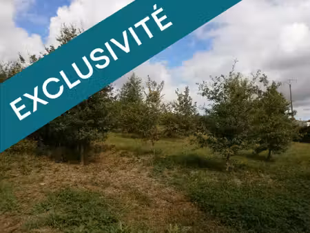idéal maison bois. grand terrain de 1566 m² astaffort.