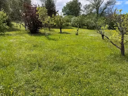 vente terrain 947 m² à naves (81710)  55 000 €