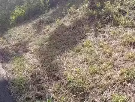 vente terrain 689 m² à le francois (97240)  56 000 €
