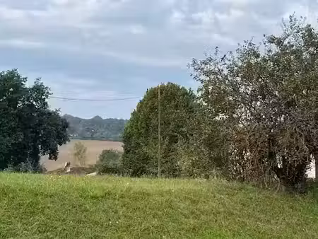 vente terrain 654 m² à cadalen (81600)  62 000 €