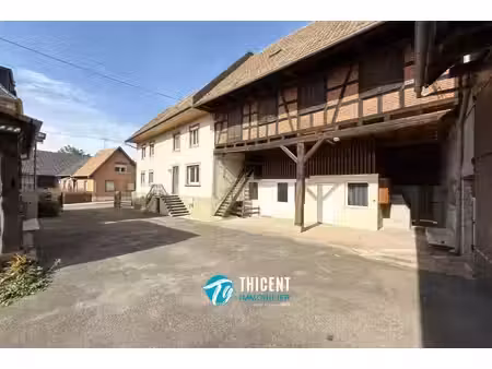 ensemble immobilier à geudertheim : 2 maisons  granges et 2 648