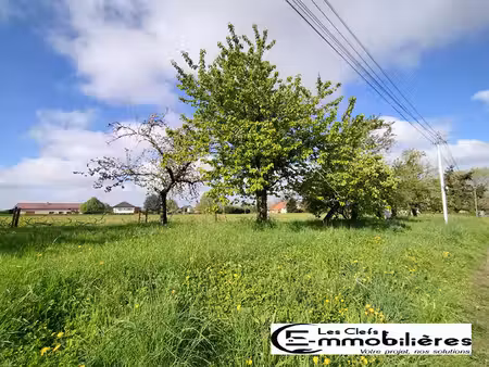 terrain constructible avec arbres fruitiers 1147 m2 - 71620 st maurice en riviere
