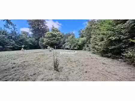 vente terrain à batir 2594 m² à rilhac-rancon (87570)  190 800 €
