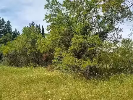 vente terrain 1495 m² à carpentras (84200)  190 000 €