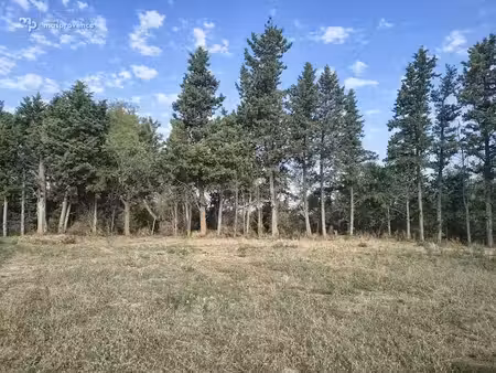 vente terrain 1122 m² à aubignan (84810)  168 500 €