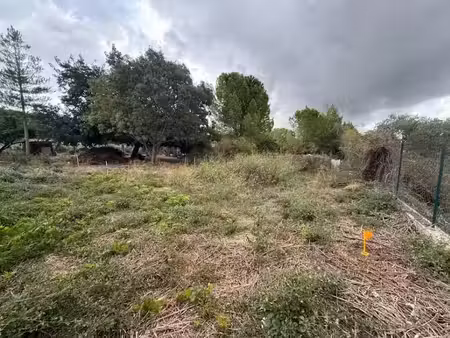 vente terrain 564 m² à campagnan (34230)  100 000 €