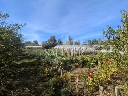 vente terrain 17000 m² à monthou-sur-bièvre (41120)  118 800 €