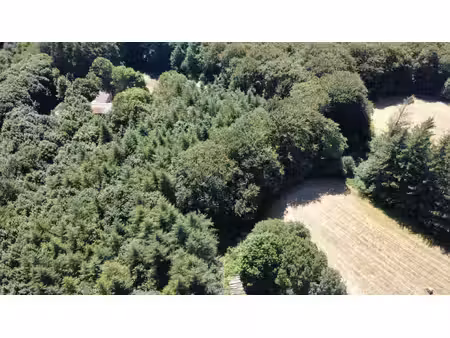habitation et dépendances sur un terrain de 6 hectares