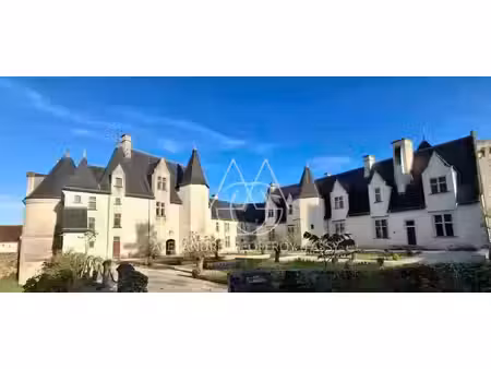 propriété à vendre le blanc 16 pièce(s) 3000m2 3 600 000€