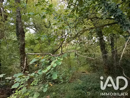 vente terrain 8 100 m²
