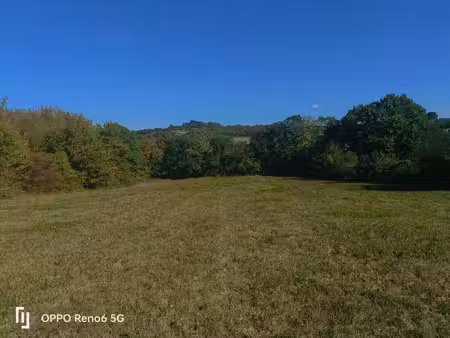 terrain à vendre