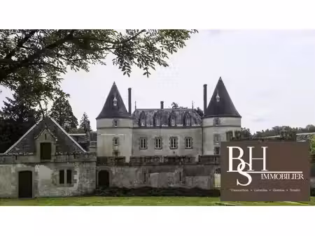 château à vendre