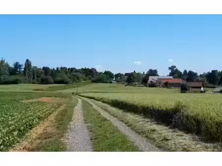 vente terrain 359 m² à boullay-les-troux (91470)  169 000 €