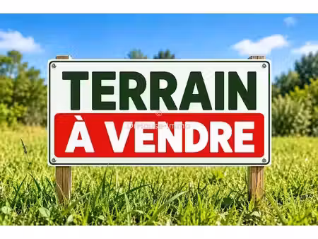 vente terrain 1000 m² à sainte anne (97180)  180 000 €