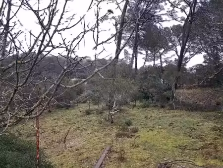 vente terrain 1000 m² à garéoult (83136)  169 000 €