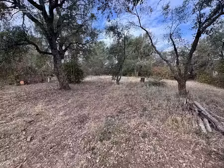 vente terrain 1155 m² à le cannet-des-maures (83340)  210 000 €