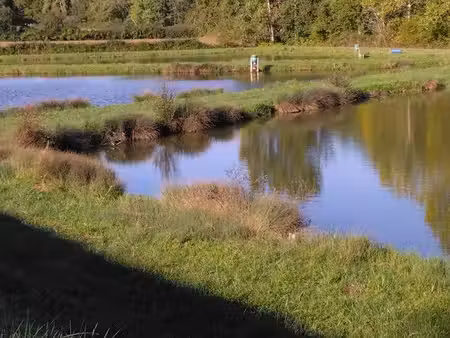 etangs et lacs