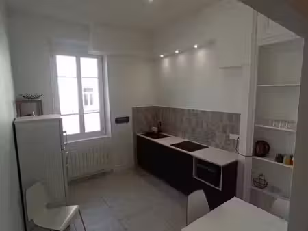 t1 bis meublé lyon 7e