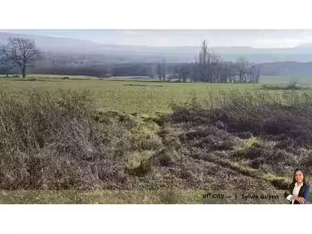 vente terrain 2032 m² à challex (01630)  740 000 €