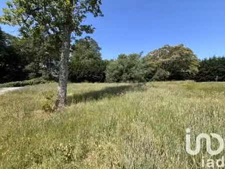 vente terrain à la brède (33650) : à vendre / 1007m² la brède