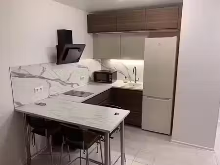 location meublée appartement 2 pièces 34 m² à lyon 7ème (69007)  600 €
