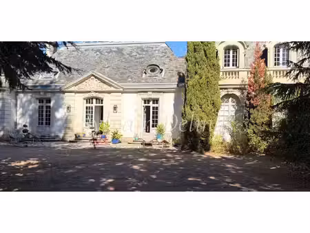 château saint-avertin (37)