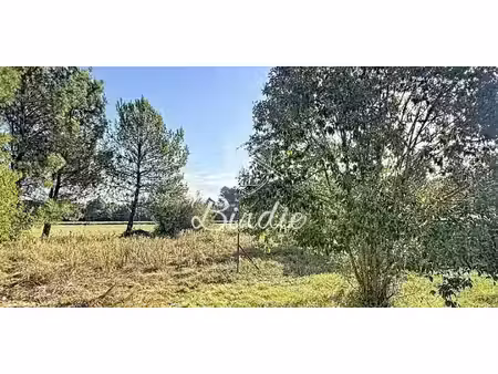 maison avec jardin soustons (40)