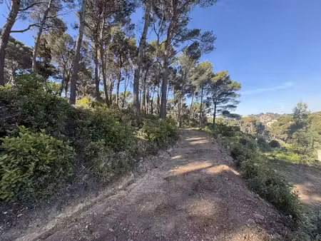 ollioules - terrain a batir 6400 m2- vue degagee