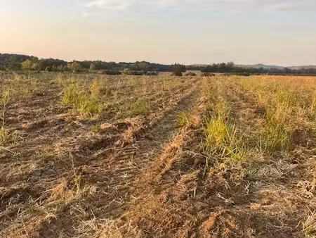 terrain agricole