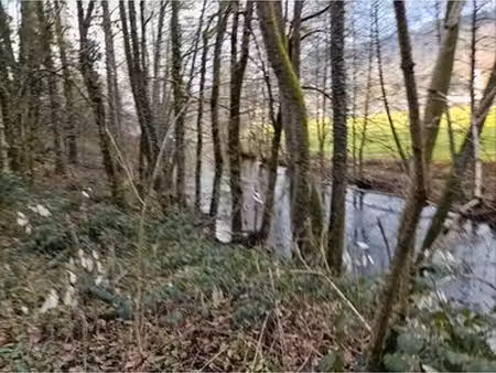 400m2 taillis bois terrain vague vic sur cere 15800 nc au bord de la rivière la cere