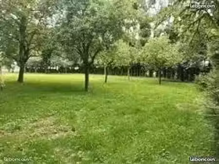 terrain animaux