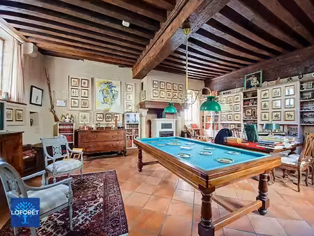 hôtel particulier à vendre