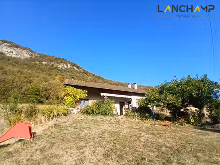 maison avec grand terrain
