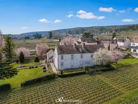 villa de luxe à vendre à fixin
