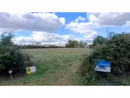 terrain à vendre saint martin de saint maixent 4666m2 149 500€