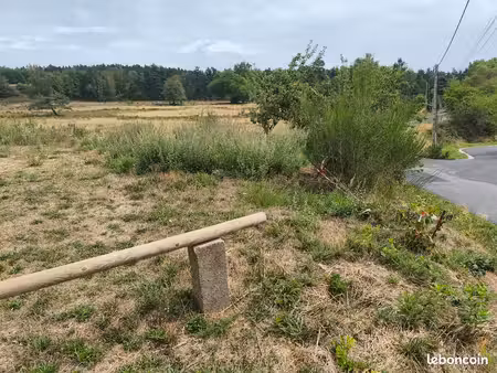 terrain constructible