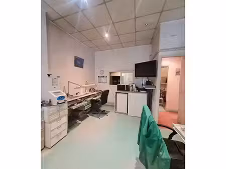 local professionnel - 44.22m ²