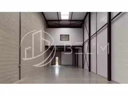 vente local d’activités grisy-suisnes 77166 116m²