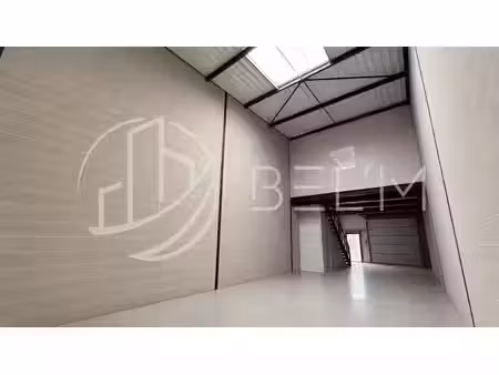 vente local d’activités grisy-suisnes 77166 211m²