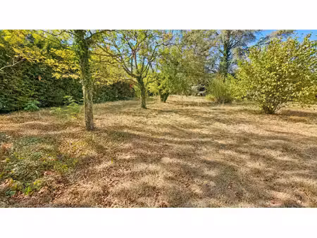 terrain