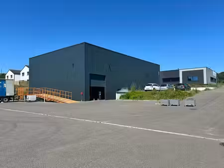 vente local d’activités florange 57190 990m²