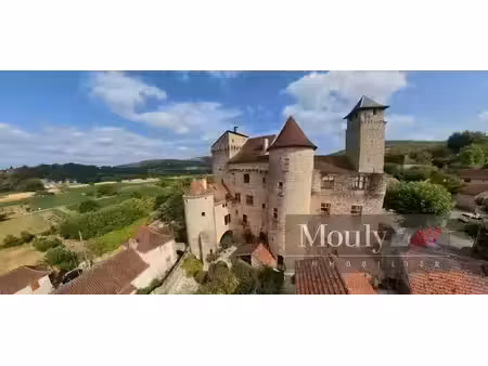 vente château 15 pièces 540 m² à salvagnac-cajarc (12260)  791 250 €