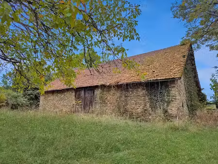 vente immeuble 1 pièce 305 m² à eyburie (19140)  36 000 €