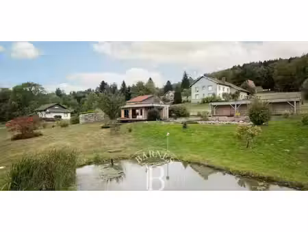 propriété avec piscine et jardin anould (88)