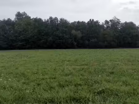 vente terrain 1000 m² à terrasson-lavilledieu (24120)  19 700 €