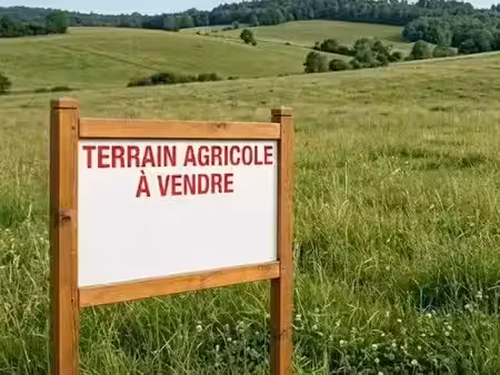 vente terrain 34470 m² à moisdon-la-rivière (44520)  20 735 €